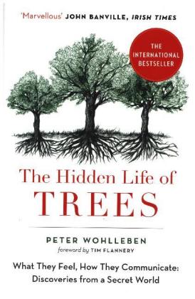The Hidden Life of Trees
