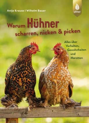 Warum Hühner scharren, nicken & picken