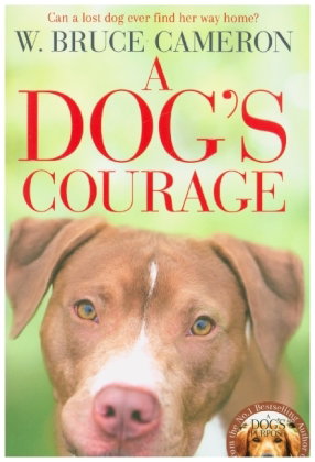 A Dog's Courage