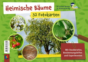 Heimische Bäume - 32 Fotokarten