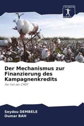Der Mechanismus zur Finanzierung des Kampagnenkredits