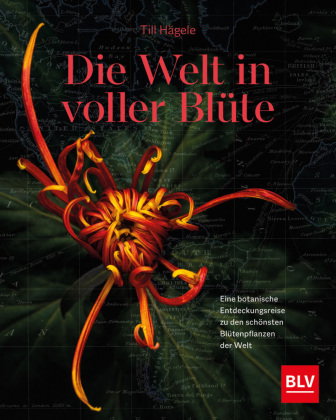 Die Welt in voller Blüte: Eine botanische Entdeckungsreise zu den schönsten Blütenpflanzen der Welt