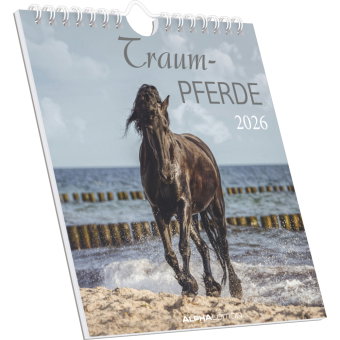 Alpha Edition - Traumpferde Kalender 2026 - Postkartenkalender 16×17 cm mit Pferdemotiven, zum Aufst