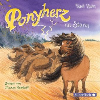 Ponyherz im Sturm, 1 Audio-CD