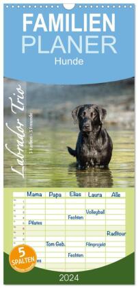 Familienplaner 2024 - Labrador Trio - 3 Farben, 3 Freunde mit 5 Spalten (Wandkalender, 21 x 45 cm) C