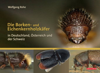 Die Borkenkäfer Deutschlands, Österreichs und der Schweiz