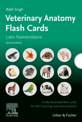 Lernkarten Veterinäranatomie / Veterinary Anatomy Flash Cards