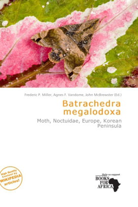 Batrachedra megalodoxa