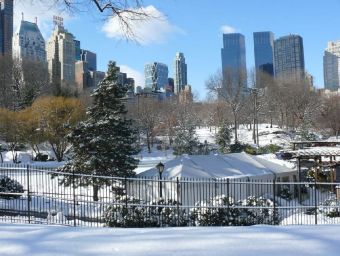 New York Central Park - 500 Teile (Puzzle)