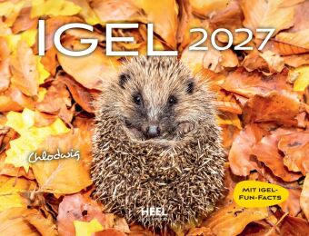 Igel 2027 Eintragkalender