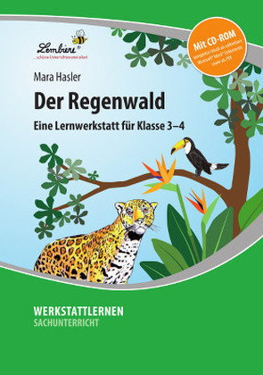 Der Regenwald