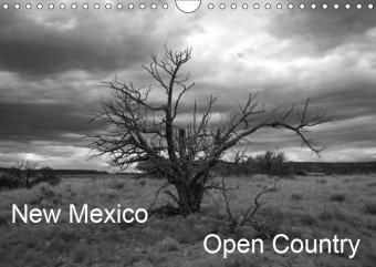 New Mexico Open Country (Wall Calendar 2019 DIN A4 Landscape)
