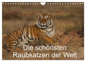 Die schönsten Raubkatzen der Welt (Wandkalender 2024 DIN A4 quer), CALVENDO Monatskalender