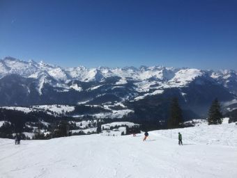 Skifahren - 500 Teile (Puzzle)