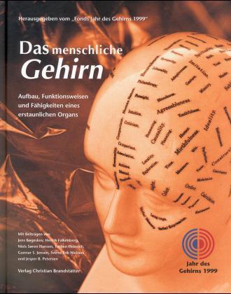 Das menschliche Gehirn
