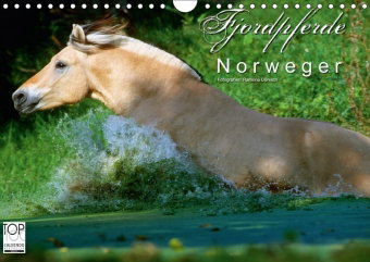 Fjordpferde - Norweger (Wandkalender 2018 DIN A4 quer)