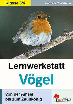 Lernwerkstatt Vögel