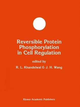 Theorie der neuronalen Netze