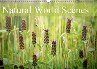 Natural World Scenes (Wall Calendar 2018 DIN A3 Landscape)